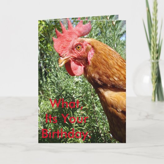 チキンサプライズ、メッセージを追加する カード (正面)