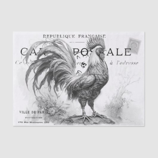 チキンスクラッチティッシュペーパー 薄葉紙 (正面)