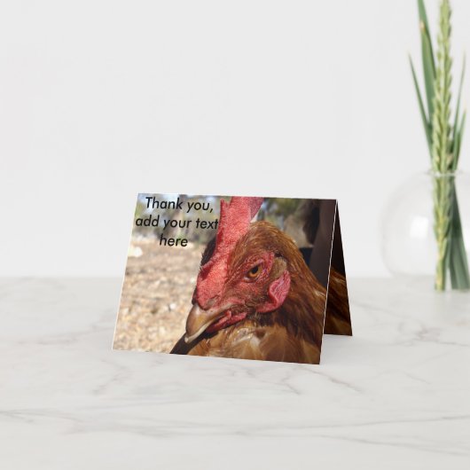 チキンスクール、メッセージを追加、 サンキューカード (正面)