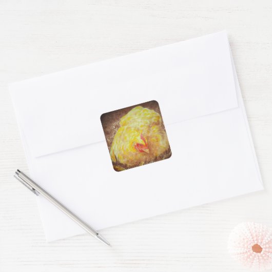 チキンステッカーのゴルディ スクエアシール (封筒)