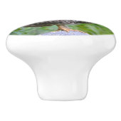 チキンセラミックノブ セラミックノブ (側面)