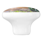 チキンセラミックノブ セラミックノブ (側面)