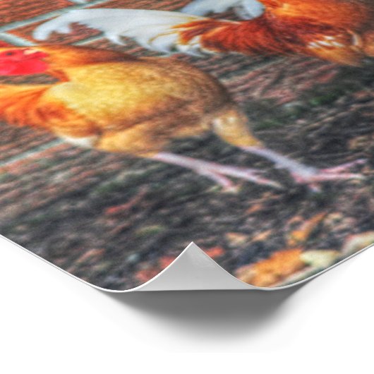 チキンダンス ポスター (角)