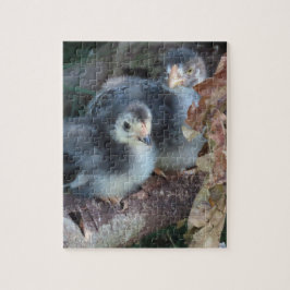 チキンチックス ジグソーパズル