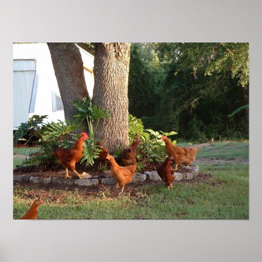 チキンチャント ポスター (正面)