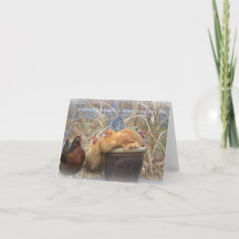 チキンノートカード