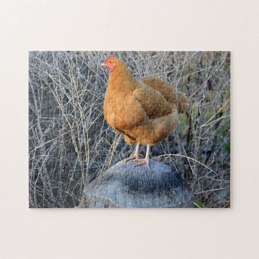 チキンパズル ジグソーパズル (横)