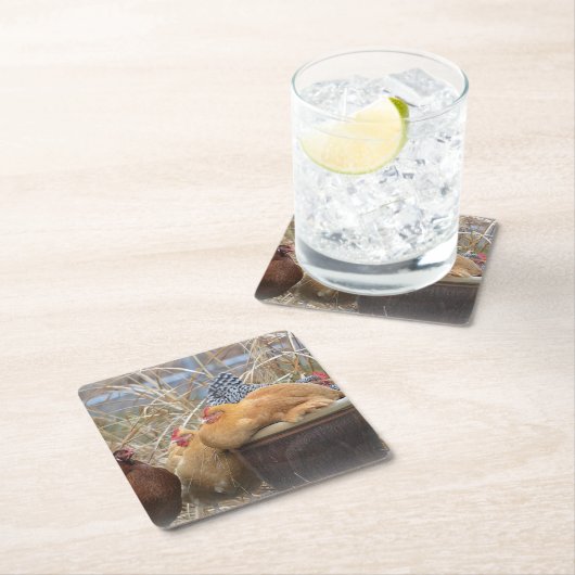 チキンパーティーコースター スクエアペーパーコースター (インサイチュ)