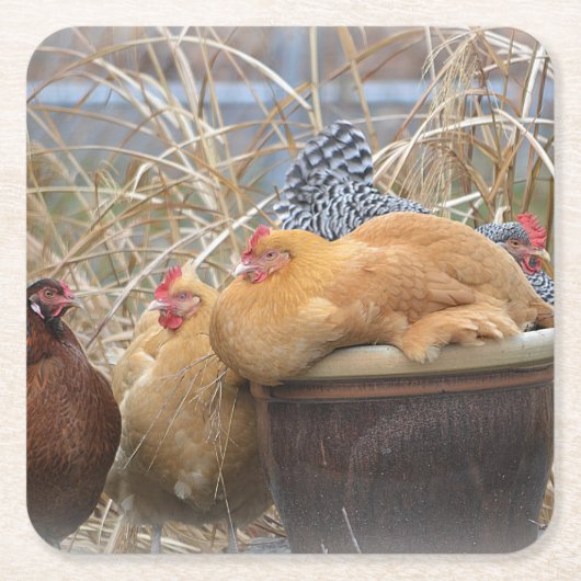 チキンパーティーコースター スクエアペーパーコースター (正面)