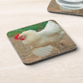 チキンファンキーヘンハイラインシルバーブラウン コースター (左側)