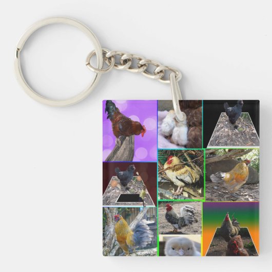 チキンフォトのコラージ、 キーホルダー (正面)