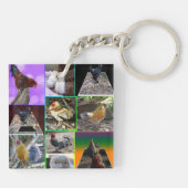チキンフォトのコラージ、 キーホルダー (裏面)