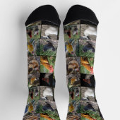 チキンフォトコラージュ、クルーソックス ソックス (上部)