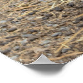 チキンフォトポスター ポスター (角)