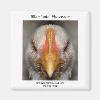 チキンプロモーションピース マグネット