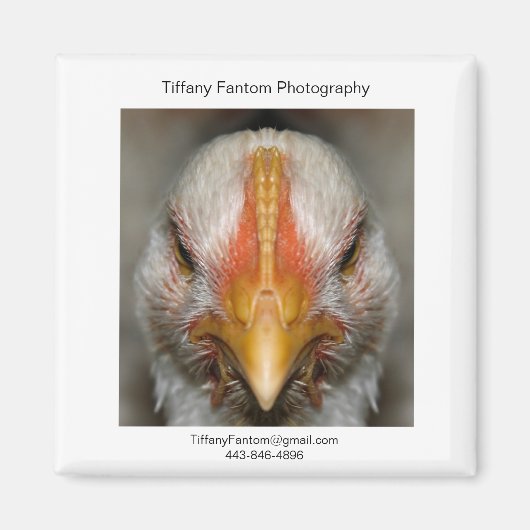 チキンプロモーションピース マグネット (正面)