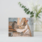 チキンヘンアートペットポートレートポストカードアート ポストカード (スタンド正面)