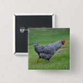 チキンボタン 缶バッジ (正面&裏面)