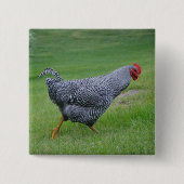 チキンボタン 缶バッジ (正面)