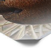 チキンポスター ポスター (角)