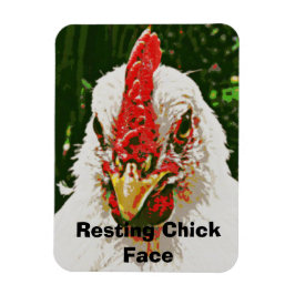 チキンマグネット マグネット