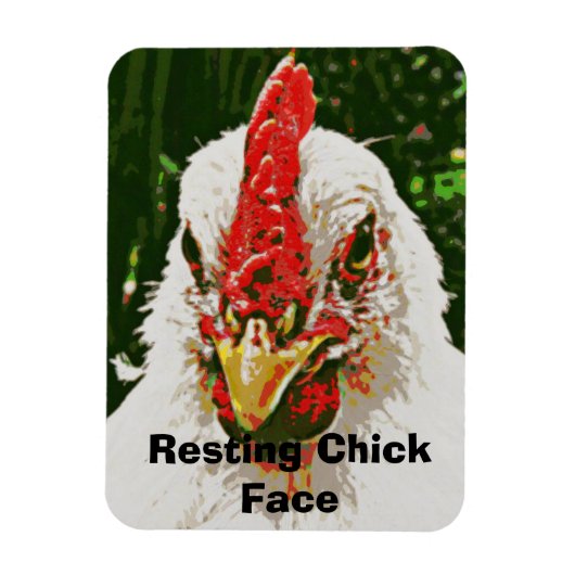 チキンマグネット マグネット (縦)