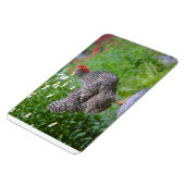 チキンマグネット マグネット (左側)