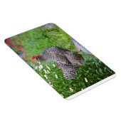 チキンマグネット マグネット (右側)