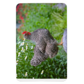 チキンマグネット マグネット (縦)