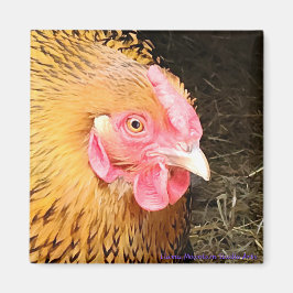 チキンマグネット#1ゴールデンレースワインドット マグネット