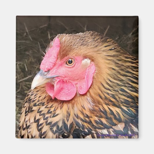 チキンマグネット#2ゴールデンレースワインドット マグネット (正面)