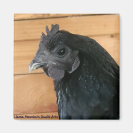 チキンマグネット#3サザンランブラー マグネット