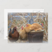 チキンユーモアのある ポストカード (正面/裏面)