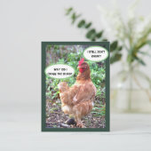 チキンユーモア ポストカード (スタンド正面)