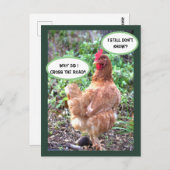 チキンユーモア ポストカード (正面/裏面)