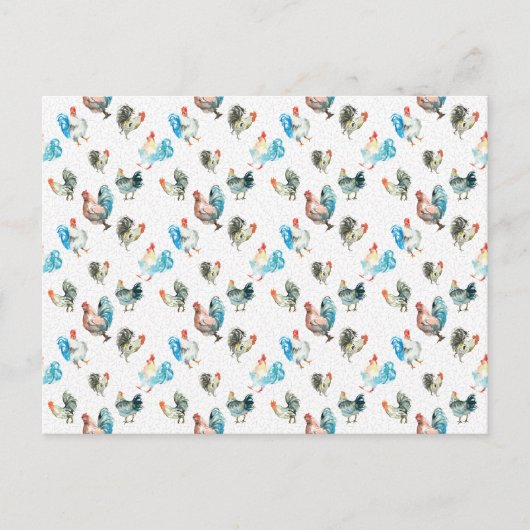 チキンラバーカントリー鶏 ポストカード (正面)