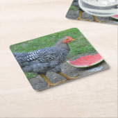 チキンラブスイカのコースター スクエアペーパーコースター (アングル)