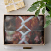 チキンヴィンテージスタイルカントリーファームヘン 薄葉紙 (ギフト)