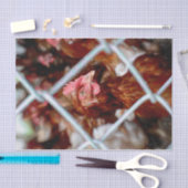 チキンヴィンテージスタイルカントリーファームヘン 薄葉紙 (クラフト)