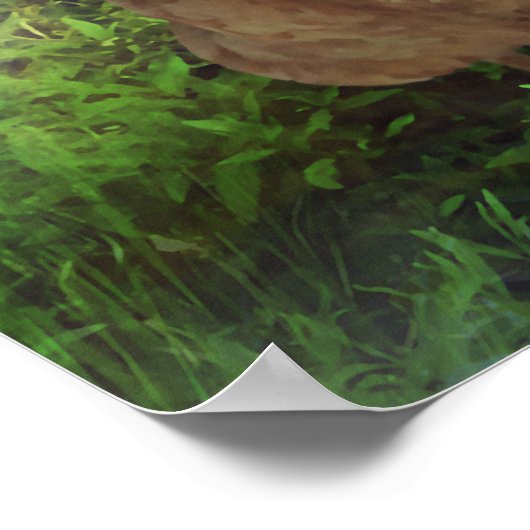 チキン天国 ポスター (角)