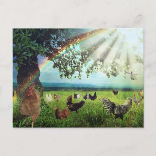 チキン天国 ポストカード (正面)