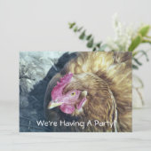 チキン招待状 (スタンド正面)