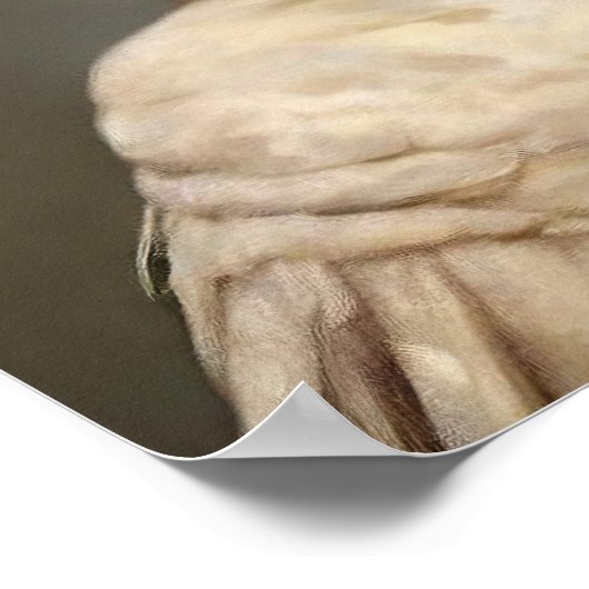 チキン王室のヴィンテージプリント、ルネッサンス動物 ポスター (角)