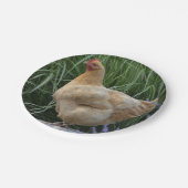 チキン紙プレート ペーパープレート (アングル)