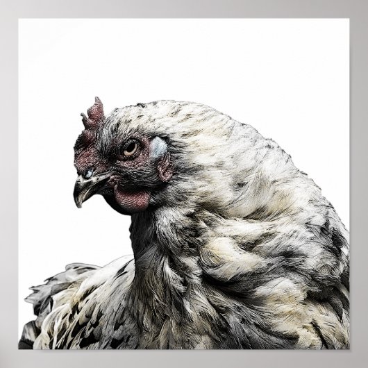 チキン素朴ミニマリストモダンカントリーファームハウス ポスター (正面)