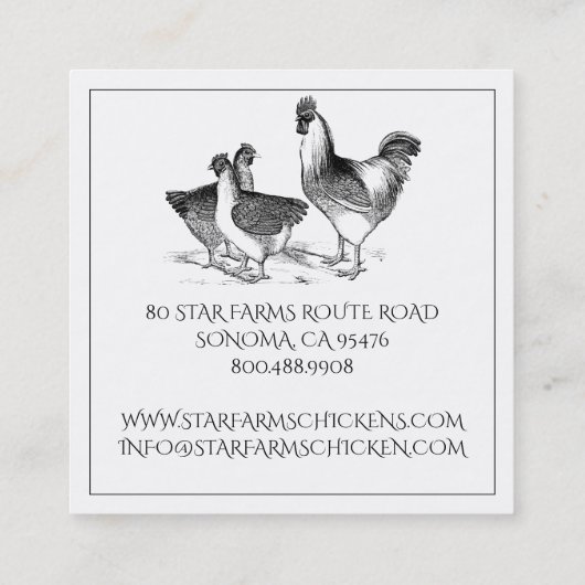 チキン自然素朴ニークファーム スクエア名刺 (裏面)
