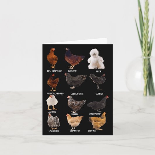 チキン違う品種ガイドニューハンプシャーファーム カード (正面)