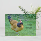 チキン金ゴールドと黒Vorwerkフォト誕生日 招待状 (スタンド正面)