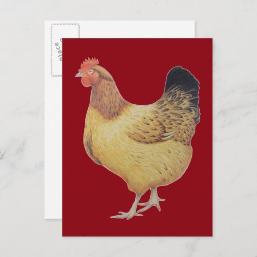 チキン2012 ポストカード (正面/裏面)