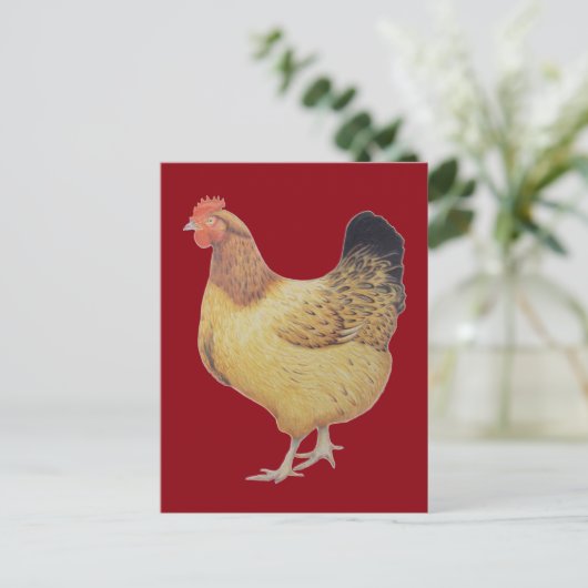 チキン2012 ポストカード (スタンド正面)